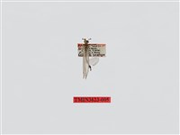 藏品(臀腋蟻蛉)的圖片